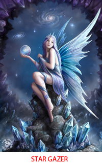 Star Gazer Star Gazer